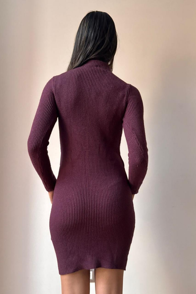 VESTIDO MINI AUBERGINE BURGUNDY